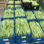 Geni's Obst & Gemüse Fachgroßhandel in Garmisch Partenkirchen - frische Ware