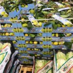 Geni's Obst & Gemüse Fachgroßhandel in Garmisch Partenkirchen
