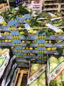 Geni's Obst & Gemüse Fachgroßhandel in Garmisch Partenkirchen